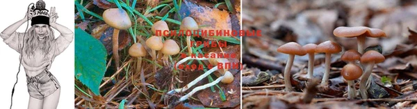 не бодяженный Гусь-Хрустальный