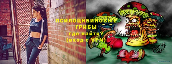 не бодяженный Гусь-Хрустальный