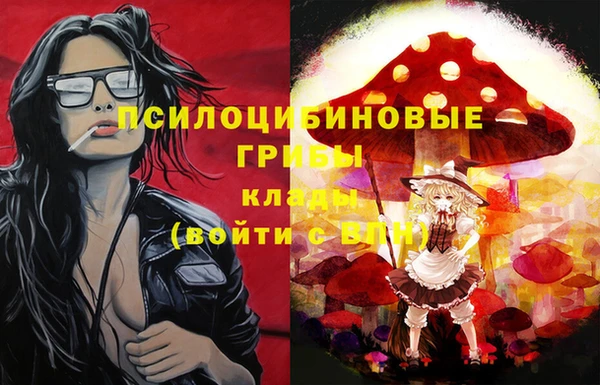не бодяженный Гусь-Хрустальный