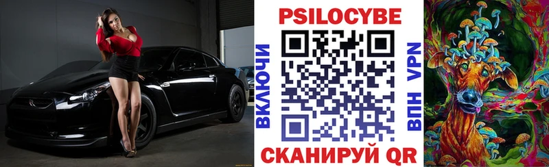 Купить закладки  Лениногорск  Галлюциногенные грибы Magic Shrooms 